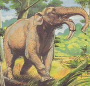 Deinotherium