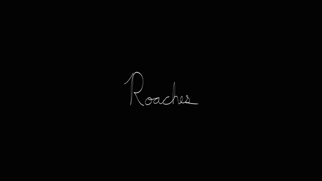File:Roaches.png