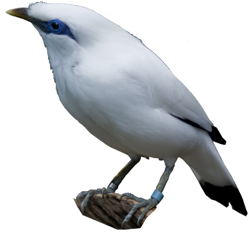 File:049.png