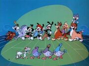 Animaniacs
