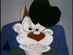Stephen Wolf 1.jpg