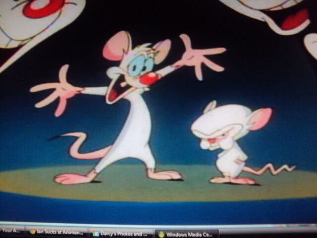 File:Pinky and the Brainy.jpg