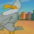 Steven Seagull.png