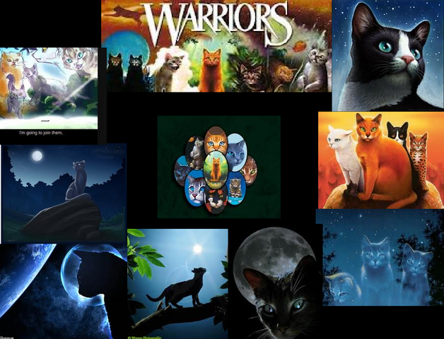 File:Warriors collauge.png