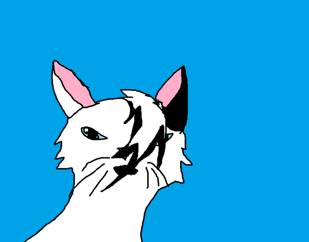 File:Ceon.png