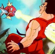 Magikarpkillingweakassmofo