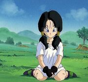 Videl30
