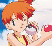 Misty.jpg