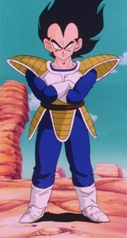 300px-Vegetapan-1-