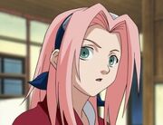 Long-Hair Sakura
