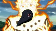 Episode298