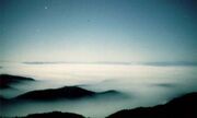 Fog1-1-