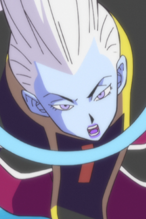 Whis Animevice Wiki Fandom Powered By Wikia Whis Animevice Wiki Fandom Powered By Wikia