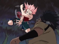 Sakura vs. Zaku