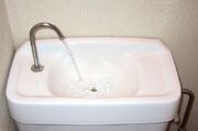 WaterSavingToiletJapan.jpg