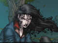 Thumbnail for version as of 14:27, September 19, 2008