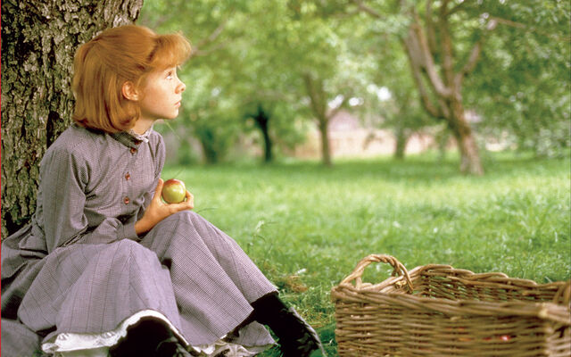 File:Anneappletree.jpg