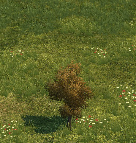 File:Tree small.png