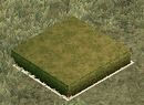Hedge II