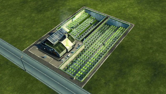 File:Rice Farm.png