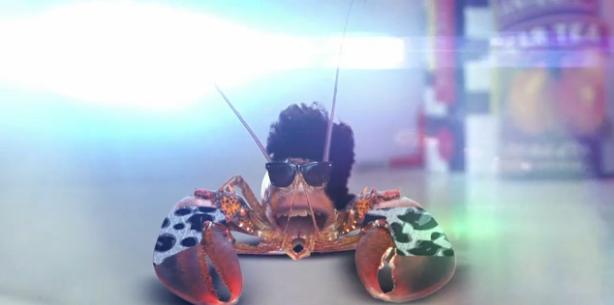 File:Rock lobster.JPG