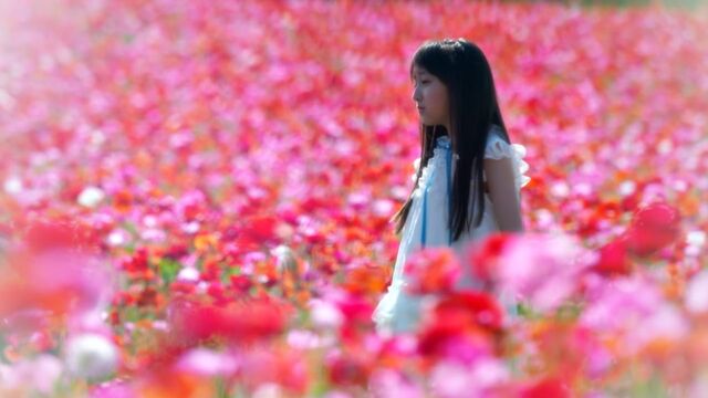 File:Anohana (Live Action).jpg