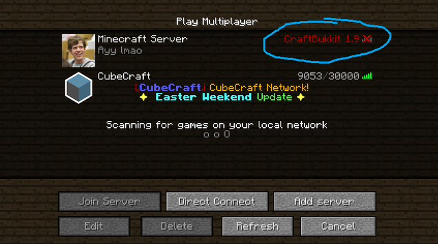 File:ServerWantsBukkit.png