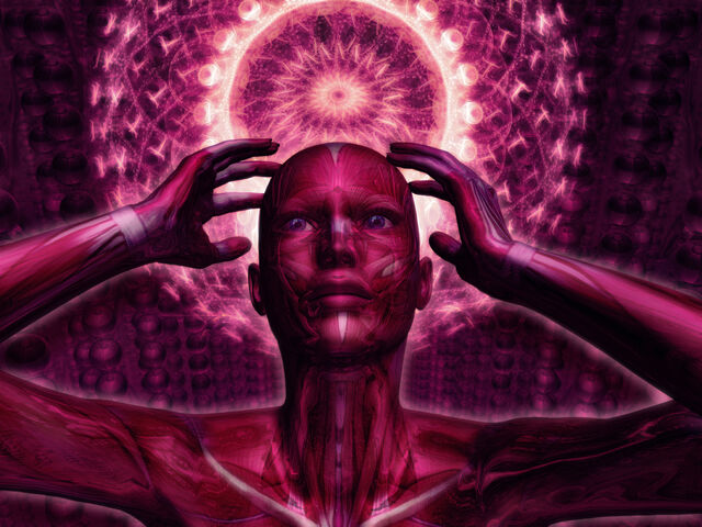 Archivo:Anamnesis.jpg