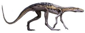 Lagosuchus.jpg