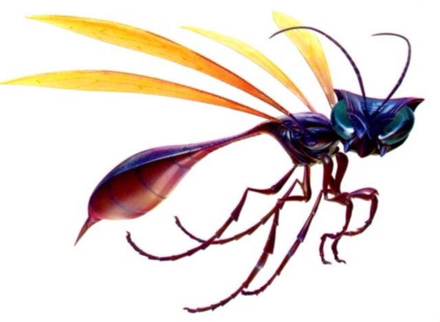 File:Wasp.jpg