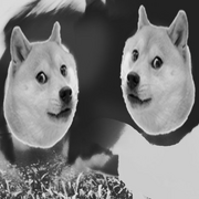 Sobakibezopas.png