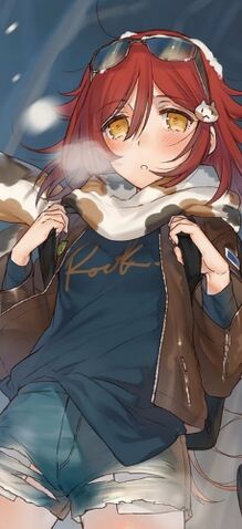 File:Nagaru Light Novel.jpg