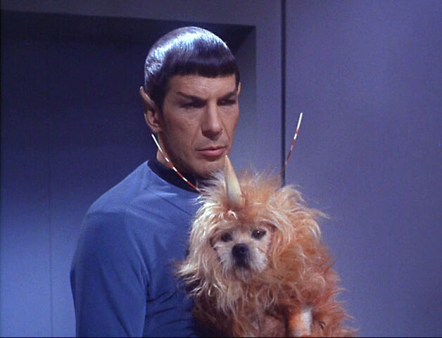 File:Space-Dog-The-Enemy-Within-star-trek.jpg