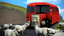 Bertie 2