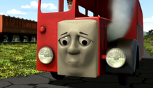 Bertie 4