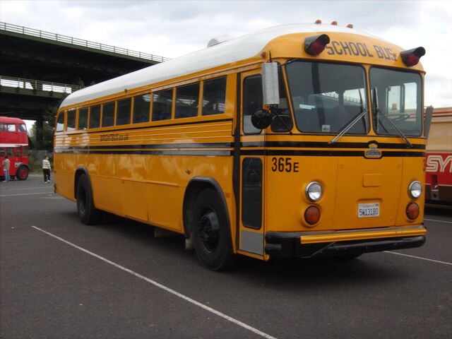 File:School bus.jpg