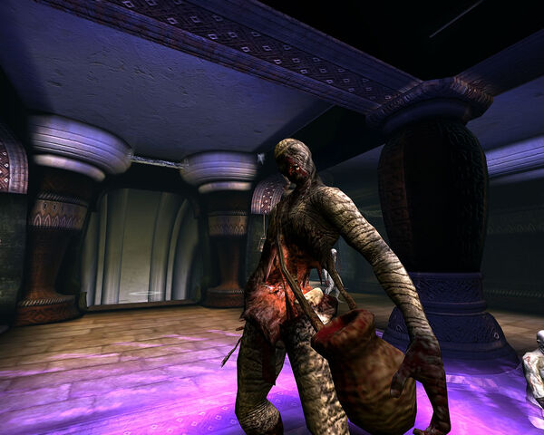 File:Ageofconan gdc 5.jpg