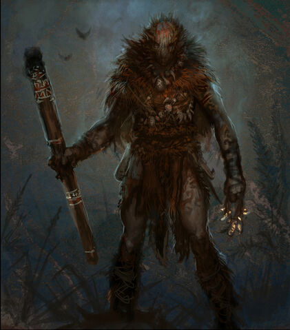 File:Shaman800x910.jpg