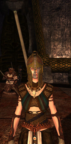 File:Guardian-2.jpg