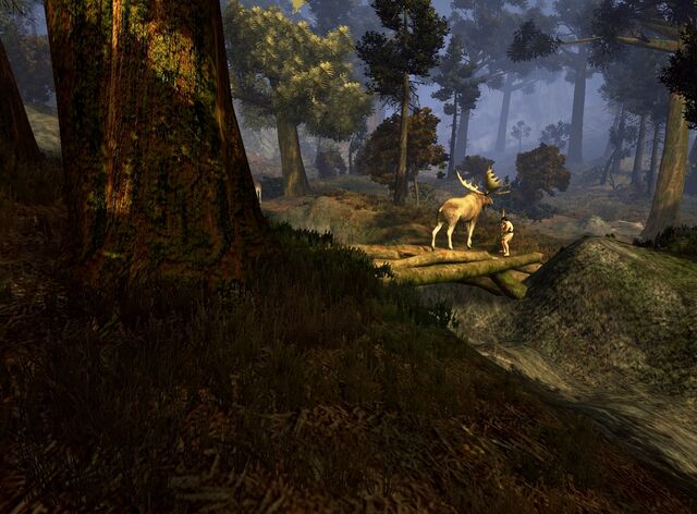 File:E320067.jpg
