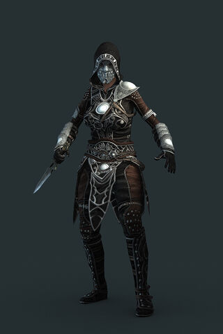 File:Assassin pvpgear.jpg