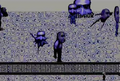 Thumbnail for version as of 16:00, April 22, 2012