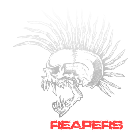 File:Skull2.png