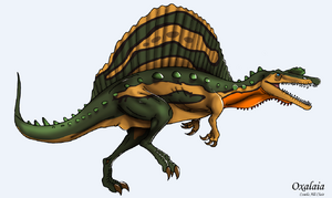 Oxalaia