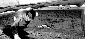 44 Iwakura rises from a hole
