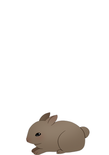 Brown Rabbit