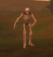 IntroSkeleton