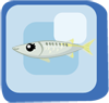 File:Fish Yellowtail Barracuda.png
