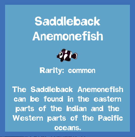 File:Fish2 Saddleback Anemonefish.png