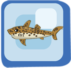 File:Fish Jaguar Shark.png
